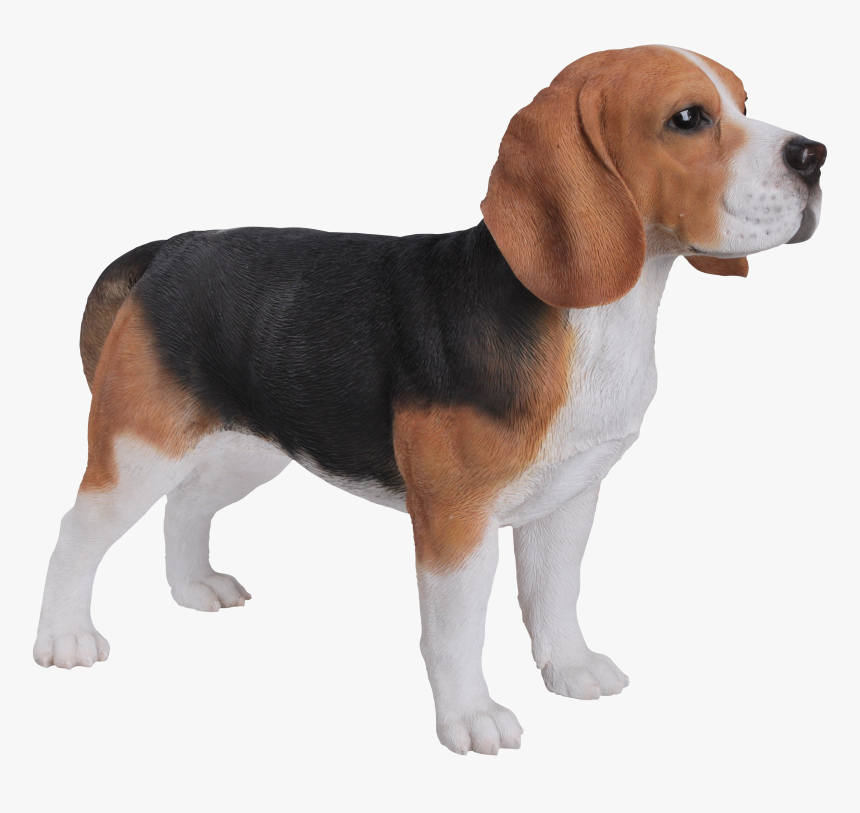 Beagle Png Download Image - Beagle Garden Ornament, Transparent Png