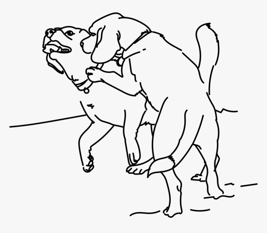 Playing, Beagle, Dog, Pet, Friend, Puppy, Animal - Vektor Hitam Putih Gambar Fuck, HD Png Download