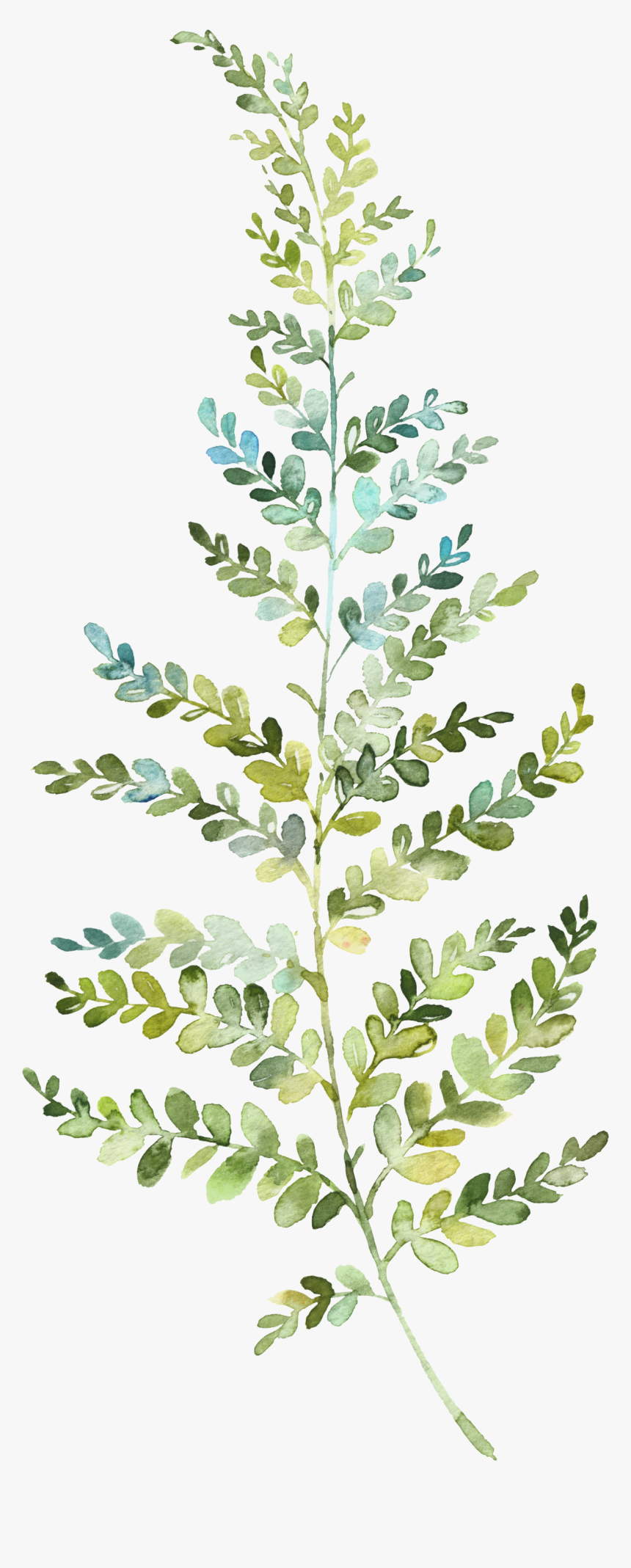 Resonance, HD Png Download