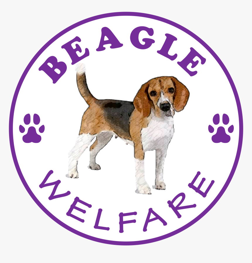 Beagle Welfare, HD Png Download