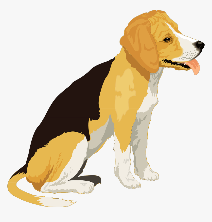Transparent Background Dog Clipart, HD Png Download