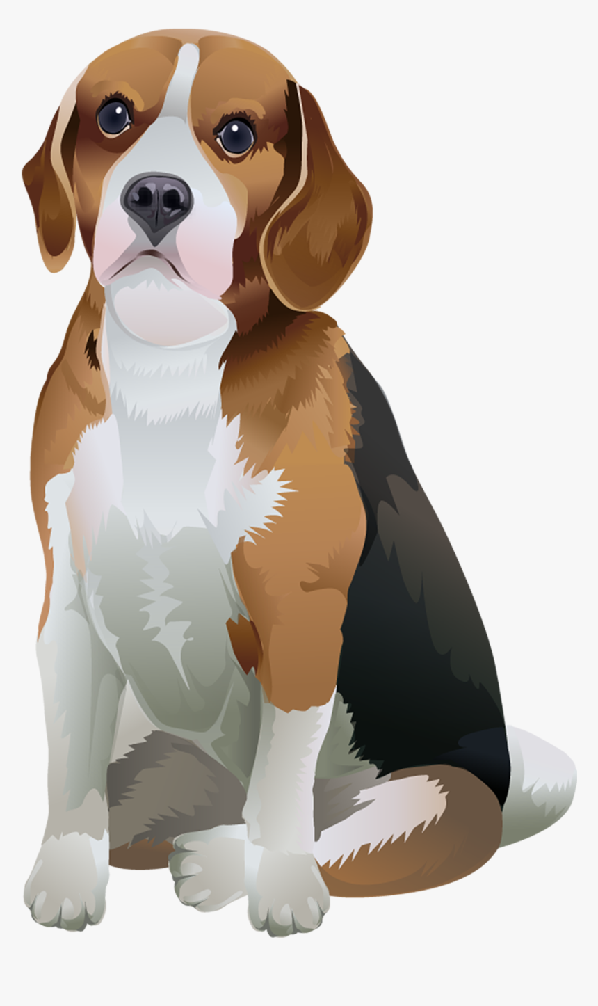 1000 X 1538, HD Png Download