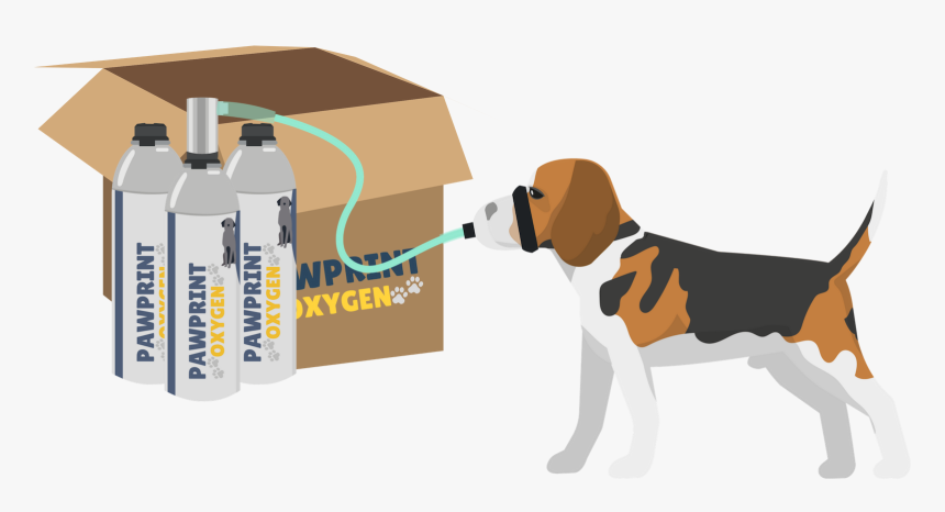 Transparent Pawprint Png - Treeing Walker Coonhound, Png Download