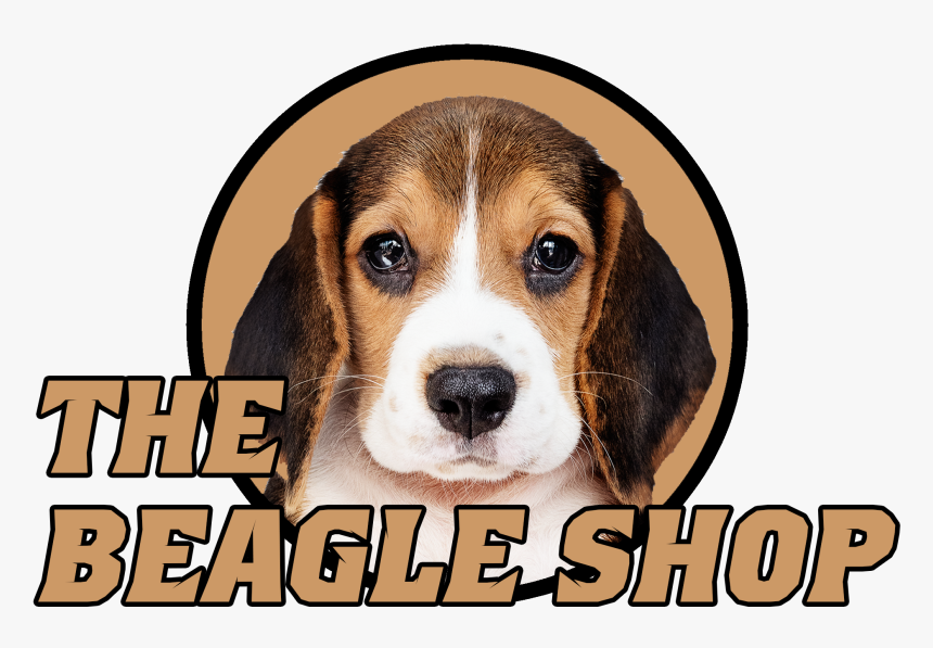 Beagle-harrier, HD Png Download