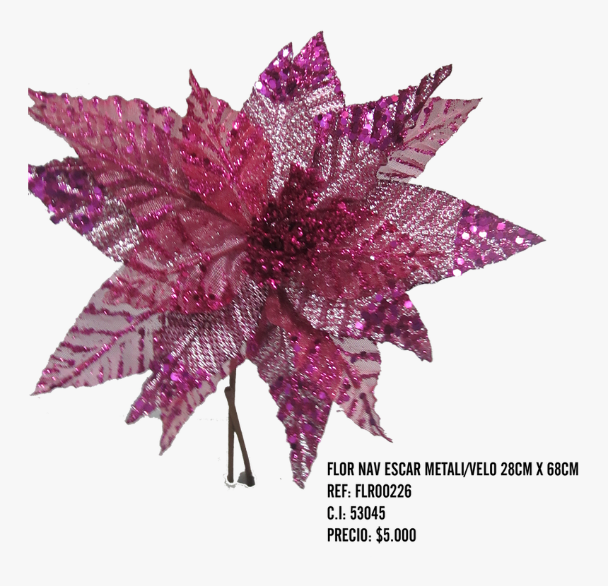 Alpine Sea Holly, HD Png Download