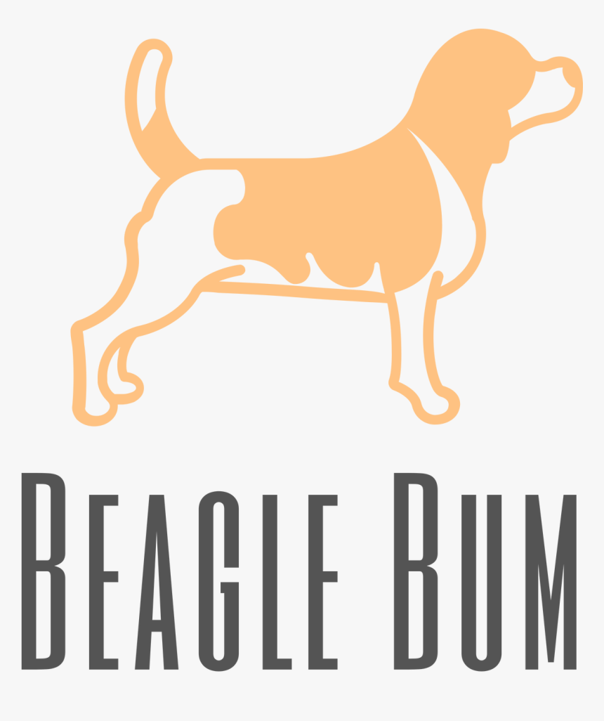 Original On Transparent - Beagle, HD Png Download
