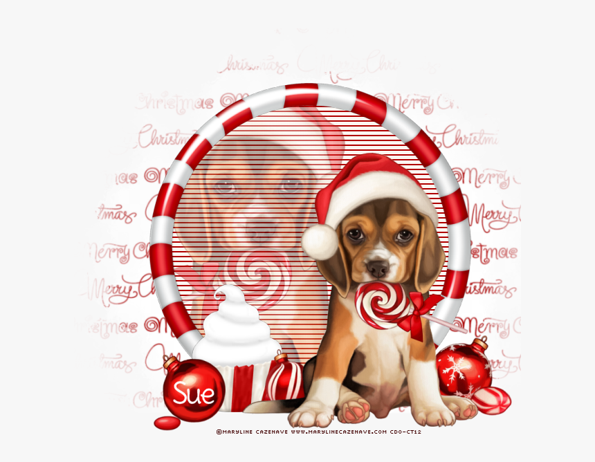 Photo Merry Christmas, HD Png Download