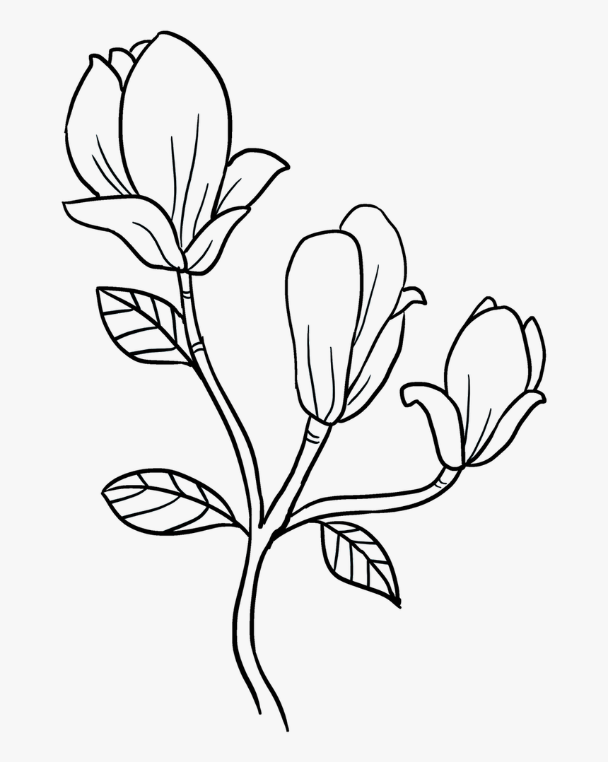 Easy Drawing Guides On Twitter, HD Png Download