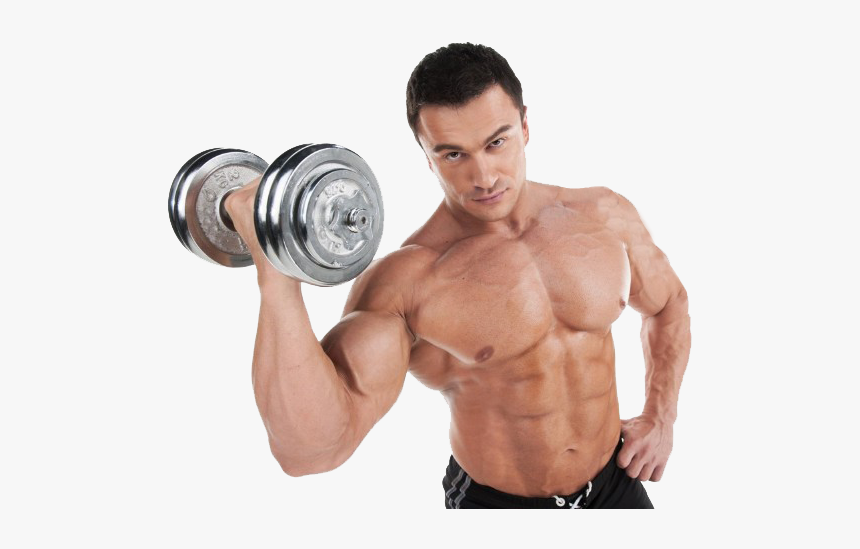 Bodybuilding Png Transparent Image - Carbohidratos En El Cuerpo Humano, Png Download