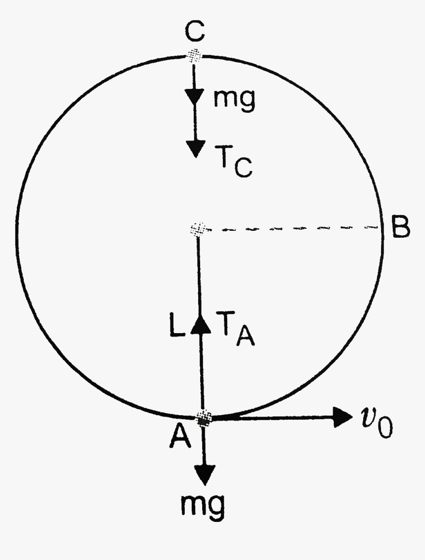 Sport Club Internacional, HD Png Download