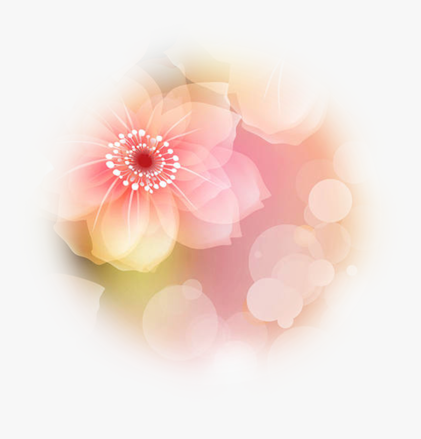 Point Of Light Png - Dahlia, Transparent Png