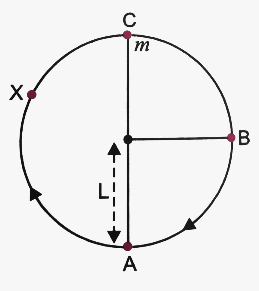 Circle, HD Png Download