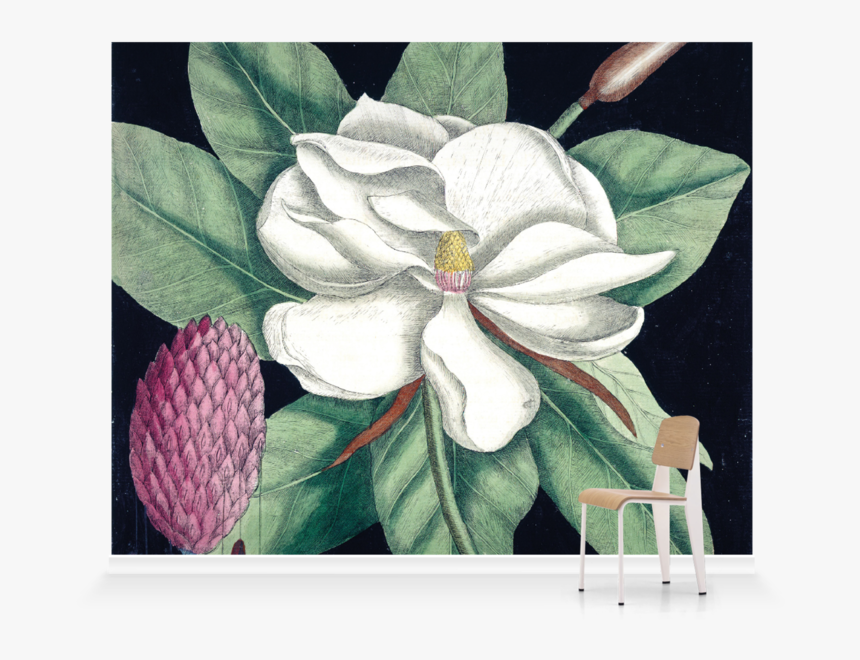 Southern Magnolia, HD Png Download
