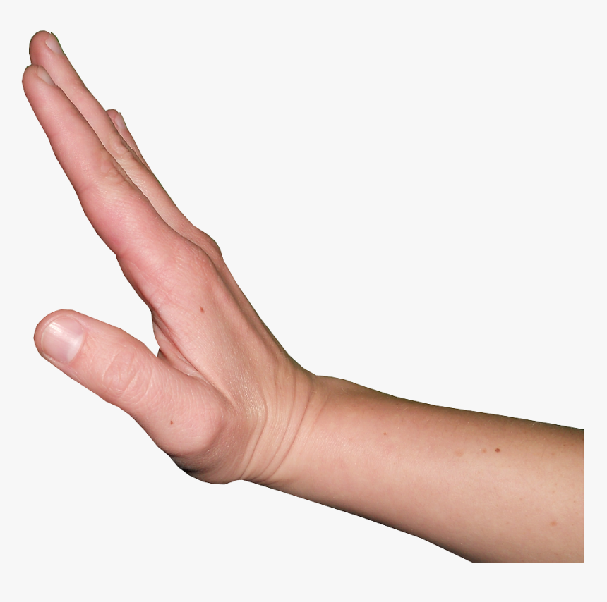 Dorsiflexion Of The Hand, HD Png Download
