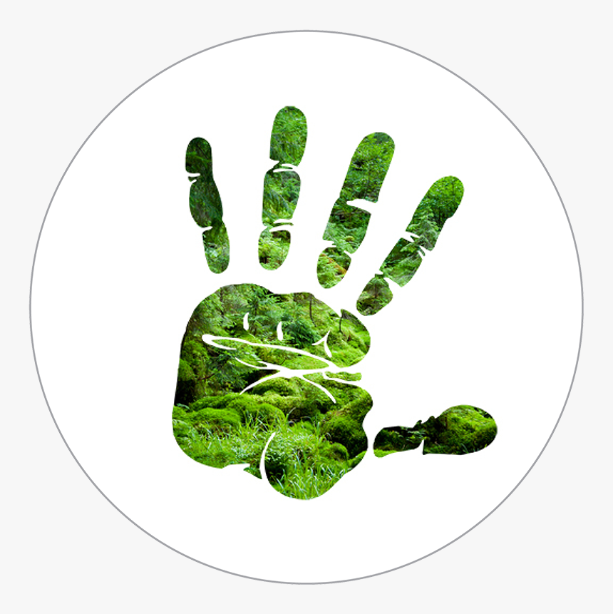 Silhouette Of Hand Over Forest Scene - Hand Print Clipart, HD Png Download
