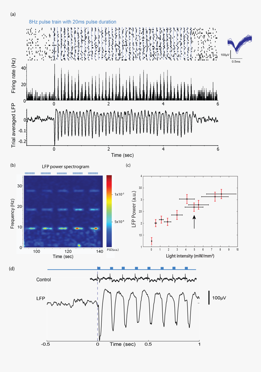 Diagram, HD Png Download