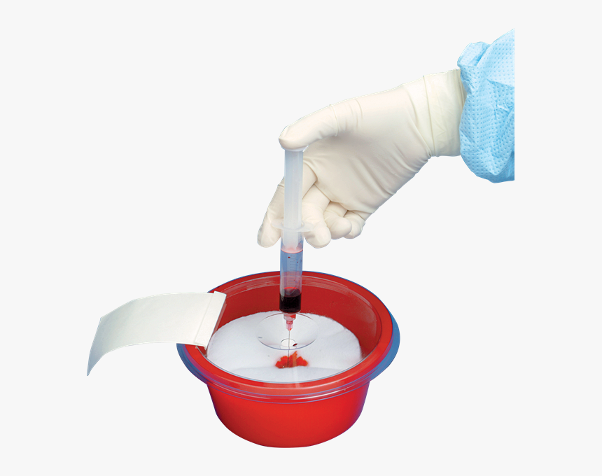 Hand, HD Png Download