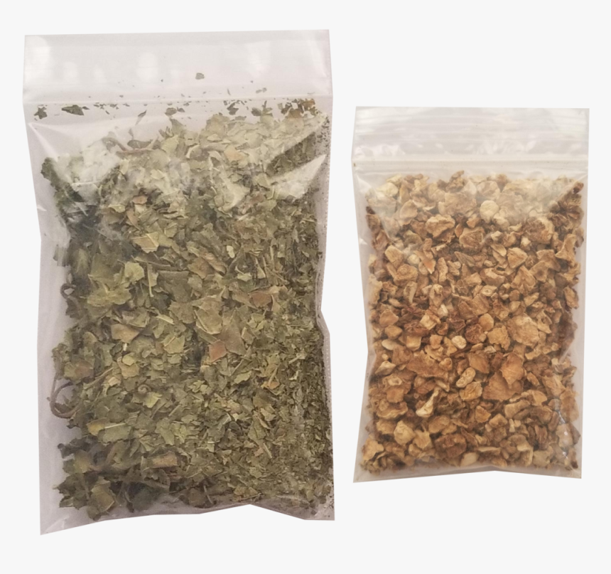 Actinidia Polygama, HD Png Download , Transparent Png Image PNGitem