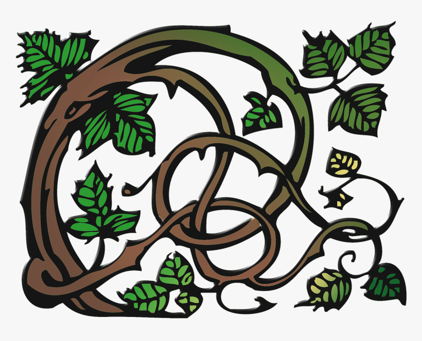 Ranke Clip Art Vine Free Photo - Schlingpflanze Clipart, HD Png Download