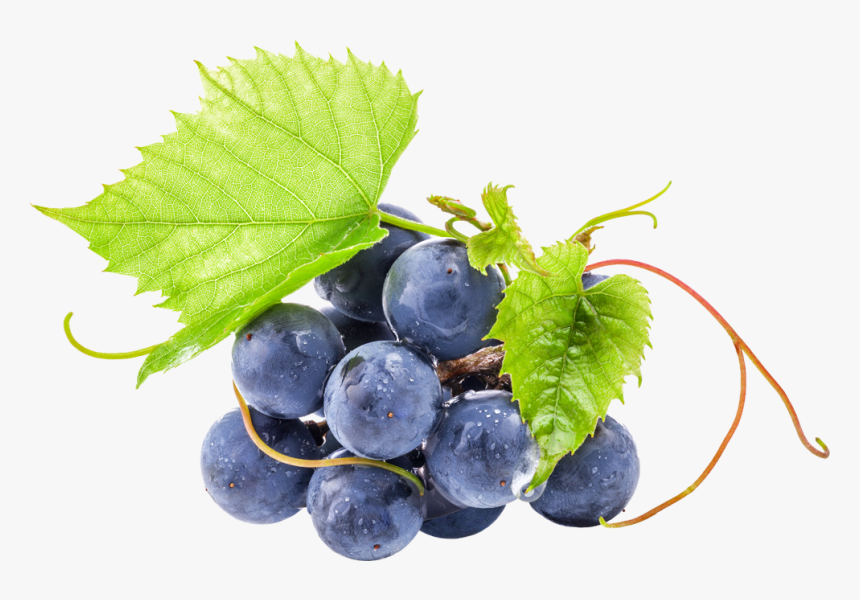 Red Astaire Sel De Nicotine, HD Png Download