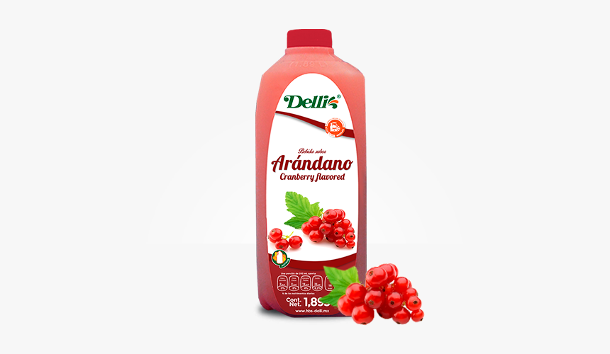 Bebida Sabor Jugo De Arándano - Unità D Italia, HD Png Download