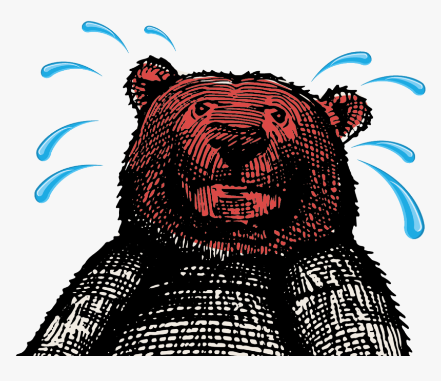 Transparent Smokey The Bear Png - American Black Bear, Png Download