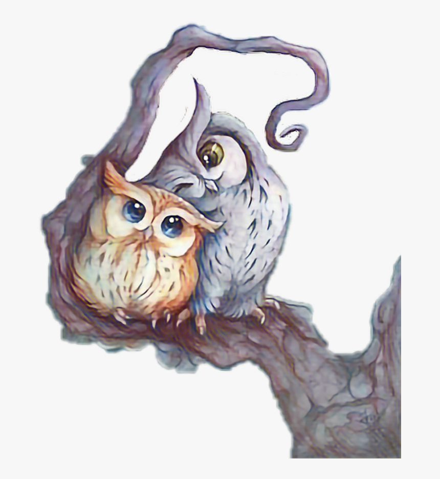 #freetoedit #cute #owls - Buhos Hermosos Dibujos, HD Png Download