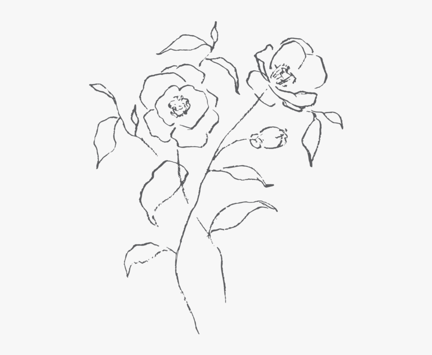 Linger-illustrations - Sketch, HD Png Download