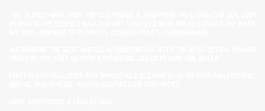 Warner Bros Pictures Morgan Creek Productions Franchise, HD Png Download