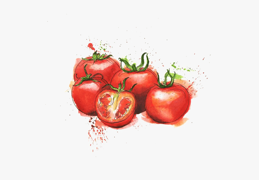 Tomato Sauce Watercolor Png, Transparent Png