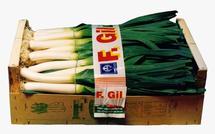 Puerros F - Gil - Leek, HD Png Download