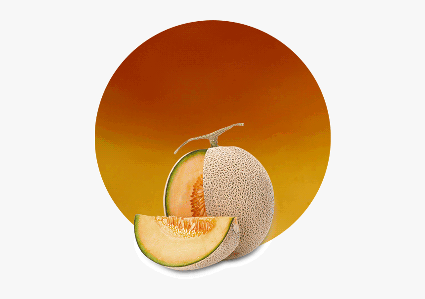 Honeydew, HD Png Download
