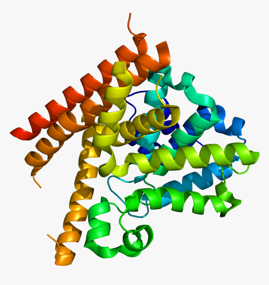 Protein Pde1b Pdb 1taz - Fosfodiesterasa 1, HD Png Download