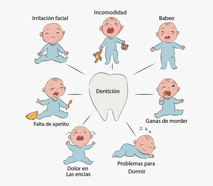 Sintomas La Denticion Del Bebe , Png Download - Cartoon, Transparent Png