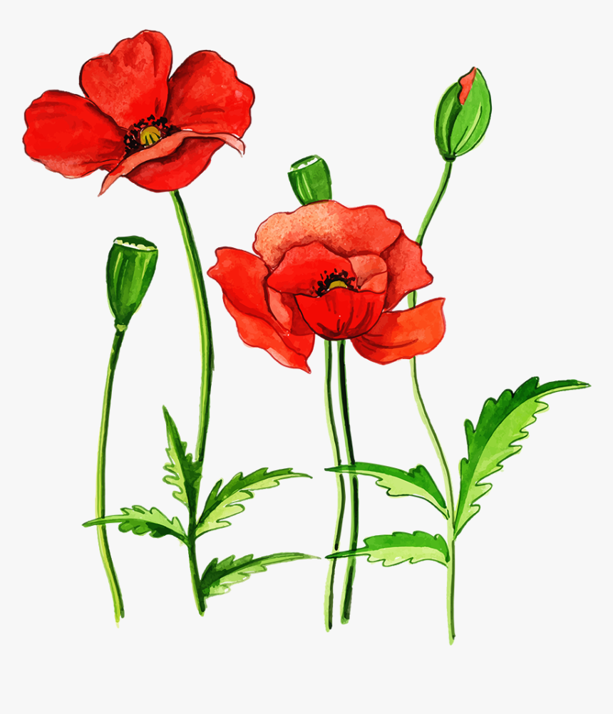 Free Png Floral Bouquets, Transparent Png