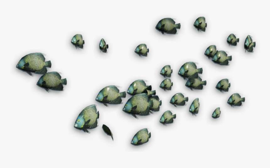 Transparent Reef Png - Transparent Coral Reef Png, Png Download