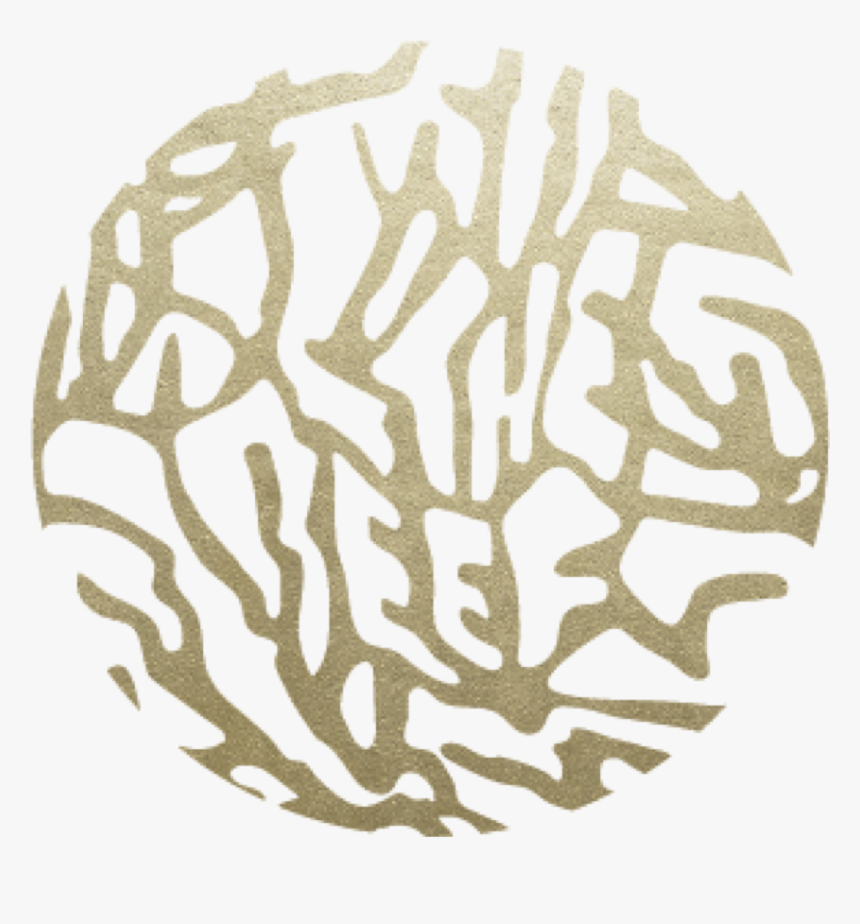 Reef Coco Beach Logo, HD Png Download