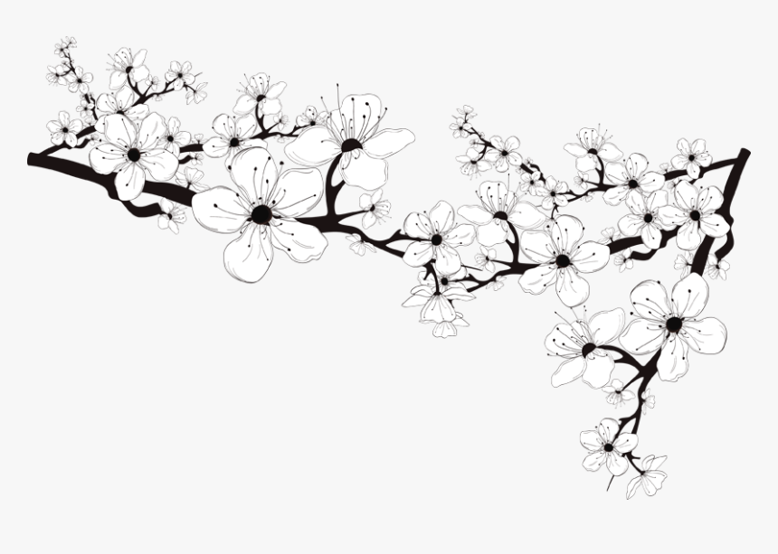 Black And White Flower Png , Png Download - Black And White Blossom Png, Transparent Png