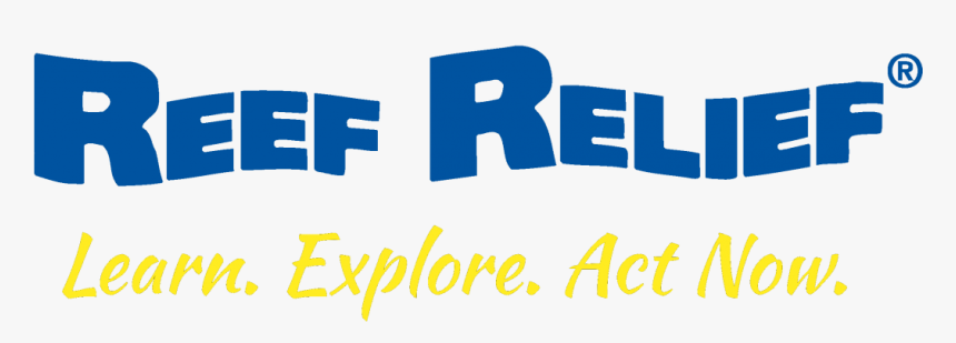 Jacaranda, HD Png Download