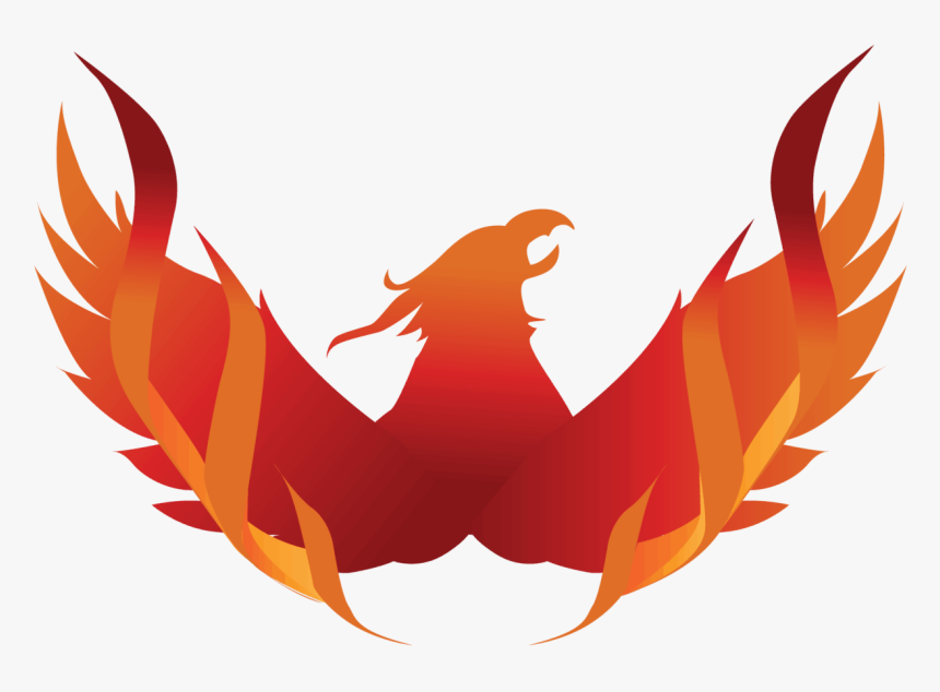 Free 12 Week Program - Illustration, HD Png Download