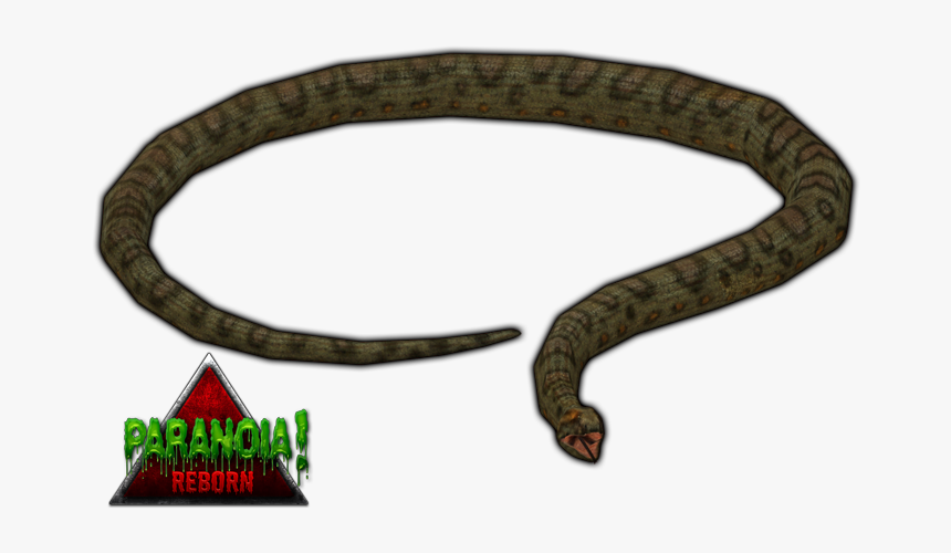 Anaconda Zoo Tycoon 2, HD Png Download