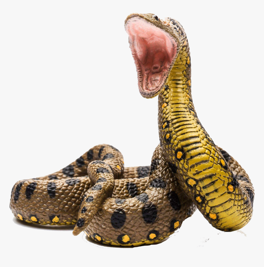 Collecta Green Anaconda , Png Download - Collecta Anaconda, Transparent Png