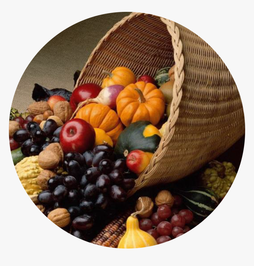 Fall Fruit And Vegetables, HD Png Download