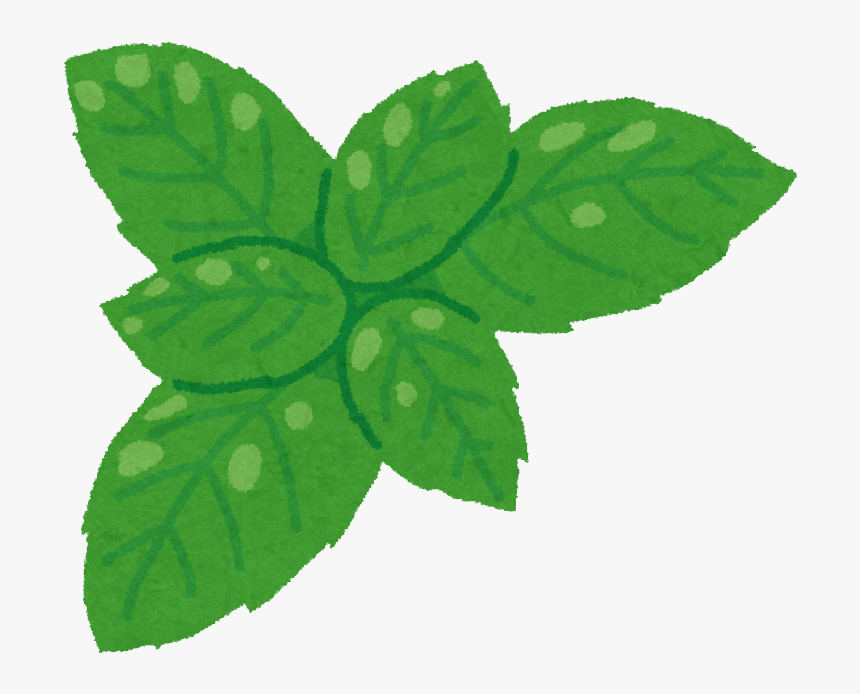 Holy Basil Free Desktop Background - Holy Basil Cartoon Png, Transparent Png