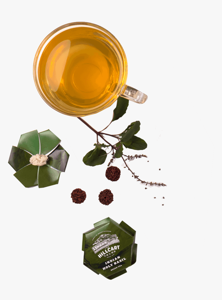 Catalog/green Tea/indian Holy Basil T - Graphic Design, HD Png Download