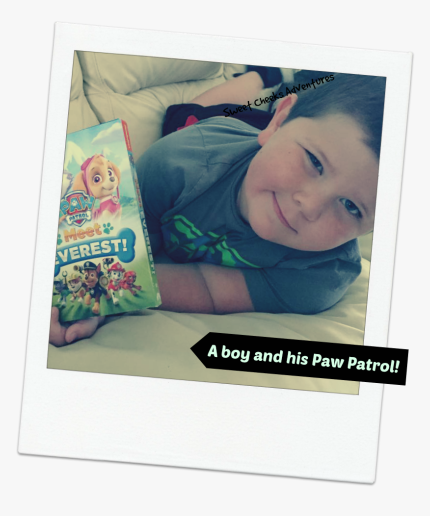 Picture Frame, HD Png Download