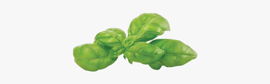 Spinach, HD Png Download
