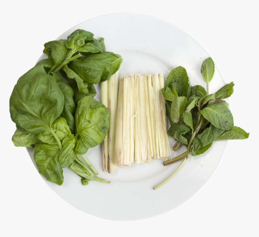 Hydroponic Cocktail Mix - Spaghetti, HD Png Download
