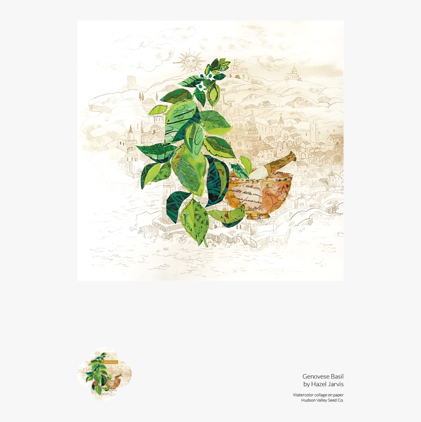 Genovese Basil Fine Art Poster - Floral Design, HD Png Download