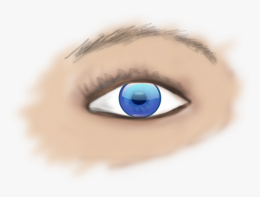 Human Eye Png - Part Of Eye Is Donated In Eye Donation, Transparent Png